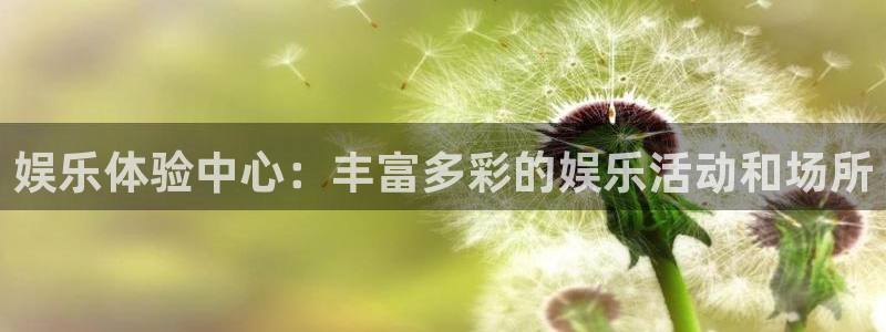 蓝图娱乐平台主管：娱乐体验中心：丰富多彩的娱乐活动和场所