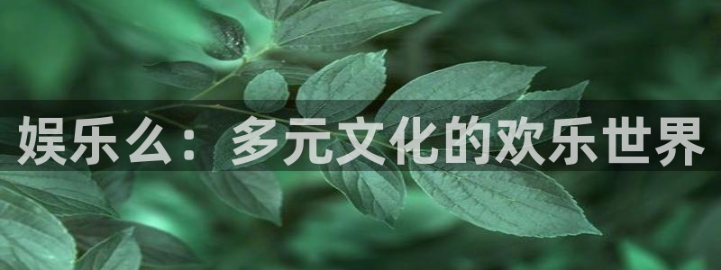 蓝图娱乐平台：娱乐么：多元文化的欢乐世界