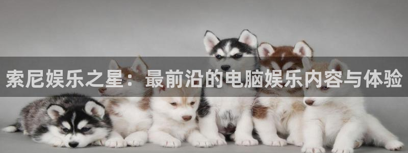 蓝图娱乐平台：索尼娱乐之星：最前沿的电脑娱乐内容与体验