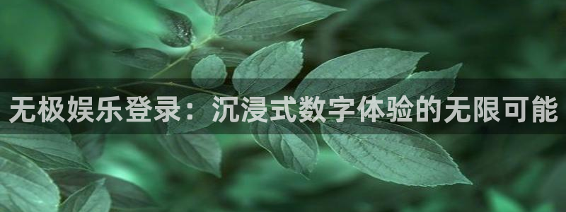 蓝图娱乐官网入口：无极娱乐登录：沉浸式数字体验的无限可能