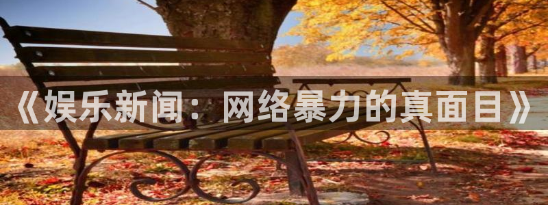 蓝图娱乐平台：《娱乐新闻：网络暴力的真面目》